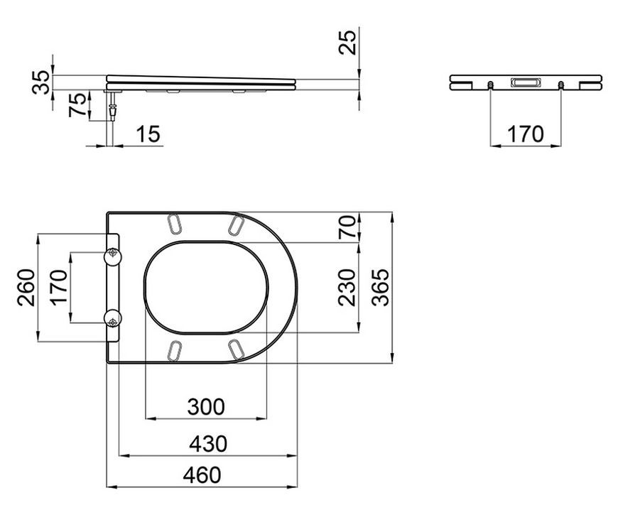 Сидіння для унітаза QTAP (Swan, Jay) з мікроліфтом Slim QT1699SC5176W - QT99SC5176W