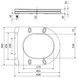 Сидіння для унітаза Qtap (Robin, Aries) White, з мікроліфтом, Slim Duroplast, Quick Release Slim QT99HY2411W - QT99HY2411W - 2