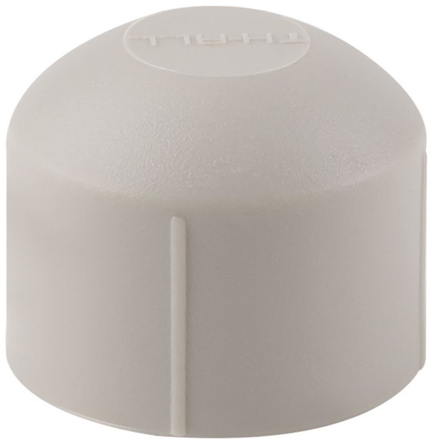 Заглушка PPR THERMO ALLIANCE 20 - DSD001