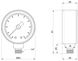 Манометр Icma нижнее подключение 1/4"НР 63 мм 0-10 бар №244 91244AB10