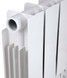 Радиатор биметаллический Thermo Alliance Bi-Ferrum 300/100 1,15 кг F300100B - F300100B - 7