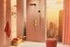 Ручний душ HANSGROHE Raindance Alive Select S 125 3jet EcoSmart+ Polished Gold Optic 24512990 золото - 24512990 - 7