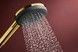 Ручний душ HANSGROHE Raindance Alive Select S 125 3jet EcoSmart+ Polished Gold Optic 24512990 золото - 24512990 - 4