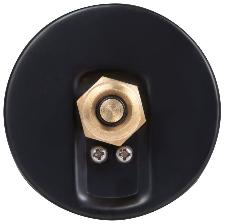 Термоманометр Thermo Alliance Standart 80 мм заднє підключення 1/2"ЗР 10 бар 120&ordm;С SD17310B
