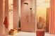 Ручний душ HANSGROHE Raindance Alive Select S 125 3jet Brushed Bronze 24500140 бронза - 24500140 - 7