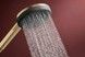 Ручний душ HANSGROHE Raindance Alive Select S 125 3jet Brushed Bronze 24500140 бронза - 24500140 - 4