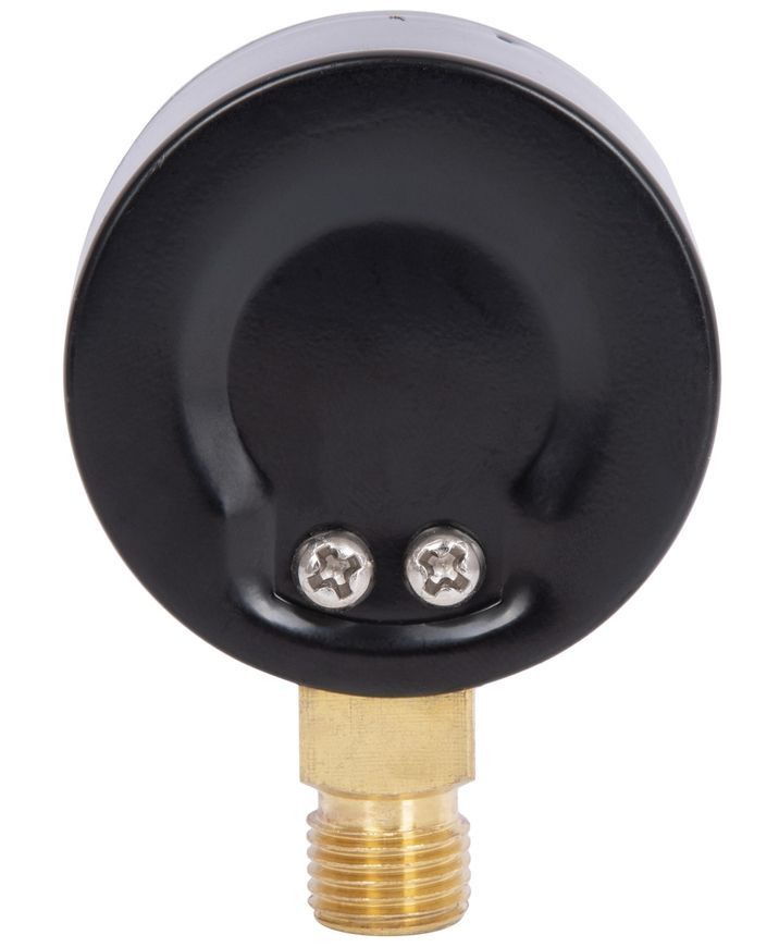 Манометр Thermo Alliance Standart 50 мм нижнее подключение 1/4"НР 0-10 бар SD17010B