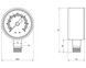 Манометр Thermo Alliance Standart 50 мм нижнее подключение 1/4"НР 0-10 бар SD17010B