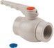Кран кульовий PPR THERMO ALLIANCE 40 - DSW117 - 1