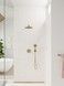 Ручний душ HANSGROHE Raindance Select S 120 3jet Brushed Bronze 26530140 бронза - 26530140 - 3