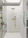 Верхний душ с держателем HANSGROHE Raindance E 300 1jet Brushed Bronze 26238140 бронза - 26238140 - 3