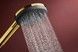 Ручний душ HANSGROHE Raindance Alive Select S 125 3jet Polished Gold Optic 24500990 золото - 24500990 - 3