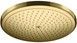Верхний душ HANSGROHE Croma 280 1jet Polished Gold Optic 26220990 золото - 26220990 - 1