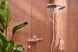 Верхний душ HANSGROHE Pulsify S 260 1jet Matt White 24140700 белый/графит - 24140700 - 6