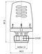 Термоголовка жидкостная Icma М28х1,5 №1099 - 821099AC07 - 2