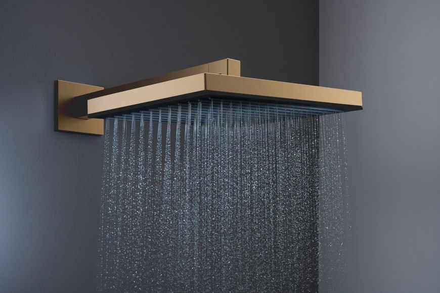 Верхний душ HANSGROHE Pulsify E 260 1jet EcoSmart Brushed Bronze 24331140 бронза/графит - 24331140