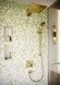 Верхний душ с держателем HANSGROHE Raindance E 300 1jet Polished Gold Optic 26238990 золото - 26238990 - 4