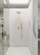 Верхний душ с держателем HANSGROHE Raindance E 300 1jet Polished Gold Optic 26238990 золото - 26238990 - 3