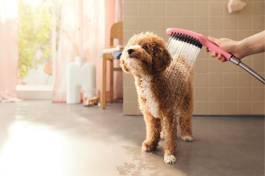 Ручной душ HANSGROHE DogShower 150 3 Jet Pink 26640560 розовый - 26640560