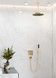 Термостат скрытого монтажа HANSGROHE ShowerSelect на 2 функции Brushed Bronze 15763140 бронза - 15763140 - 3