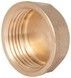 Заглушка латунна Thermo Alliance Standart 1" ВР SD40225