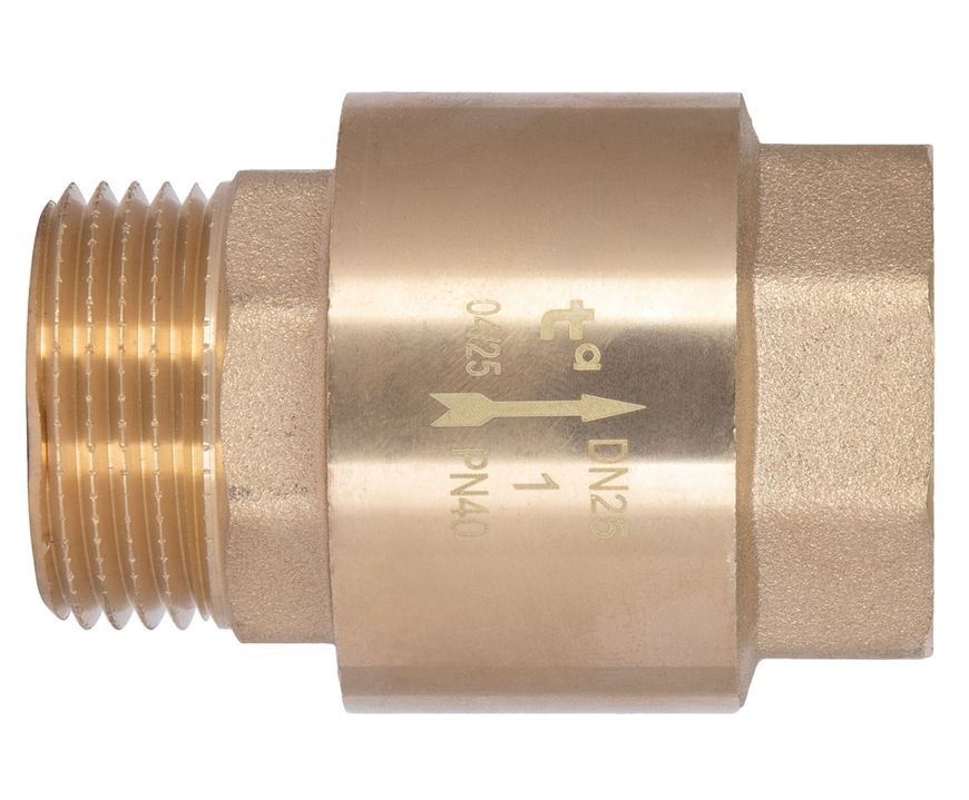 Зворотний клапан Thermo Alliance Standart 1" ВРх1" ЗР із латунним штоком TAS248W25 - TAS248W25