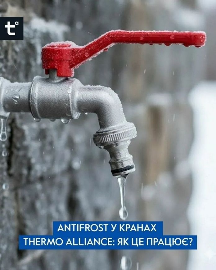 Кран кульовий для поливу Thermo Alliance Forte 3/4" ЗР з антизамерзанням Antifrost TAF141W20