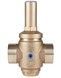 Редуктор тиску води ICMA 1 1/2"х1 1/2" ВР 0-6 бар №246 91246AH05 - 91246AH05 - 3