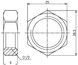 Контргайка латунна SD Forte 1/2" нікельована SF35015