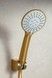 Точковий душ KFA ARMATURA MOZA BRUSHED GOLD 841-220-31 золото - 841-220-31 - 2