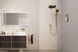 Душовий набір HANSGROHE Rainfinity 130 3jet Puro S 90 см шланг Designflex 160 см Brushed Bronze 28743140 бронза - 28743140 - 6