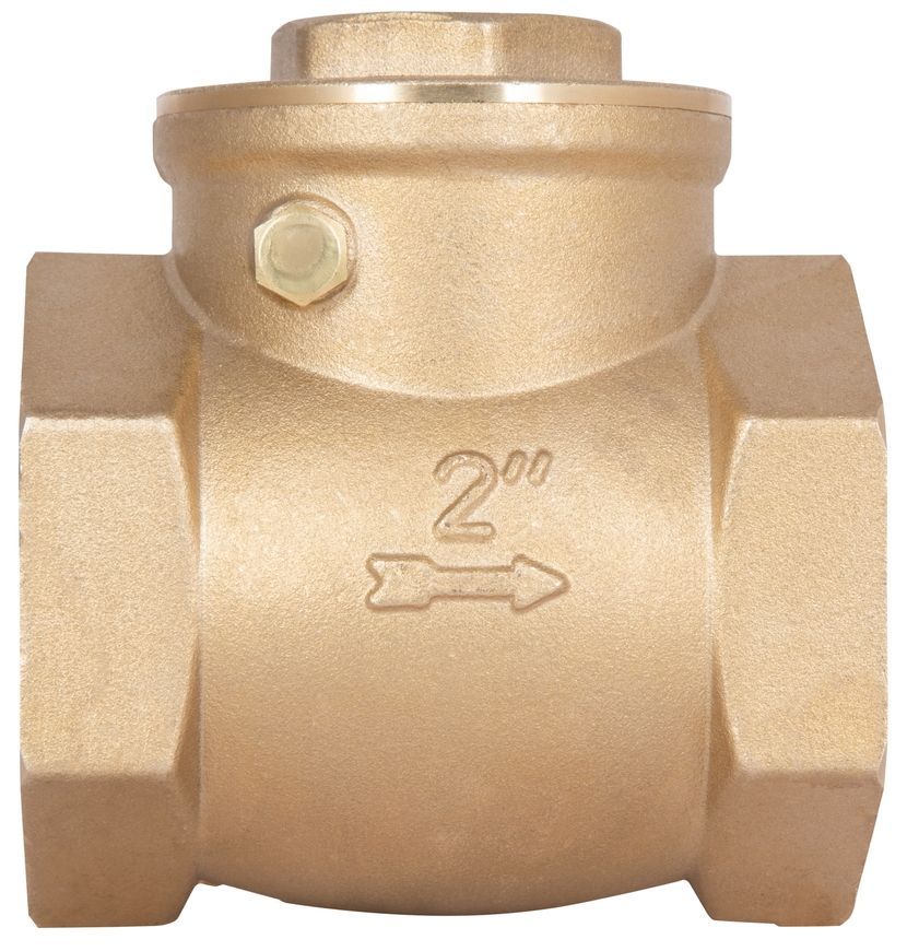 Зворотний клапан пелюстковий низького тиску Thermo Alliance Standart 2" SD242W50 - SD242W50