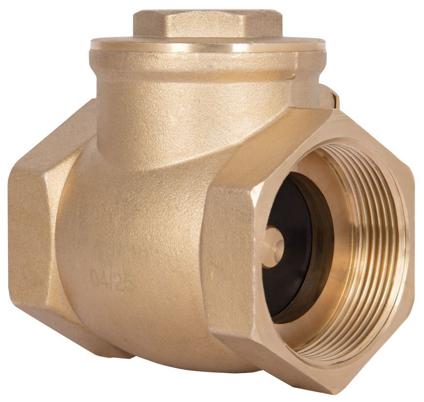 Зворотний клапан пелюстковий низького тиску Thermo Alliance Standart 2" SD242W50 - SD242W50