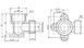 Уголок обжимной SD Forte 16х1/2" ВР настенный латунь SF179W1615