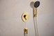 Шлангове під&rsquo;єднання HANSGROHE FixFit Fine S зі зворотним клапаном Polished Gold Optic 28882990 золото - 28882990 - 4