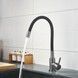 Змішувач для кухні Lidz Aria 015F3 з гнучким виливом Graphite/Black LDARI015F3BGRP49564 - LDARI015F3BGRP49564 - 9