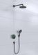 Душевая система HANSGROHE Raindance S 240 1jet ShowerSelect S 8 в 1 Matt Black 27959670 черная матовая - 27959670 - 4